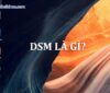 DSM là gì_Thietbinas